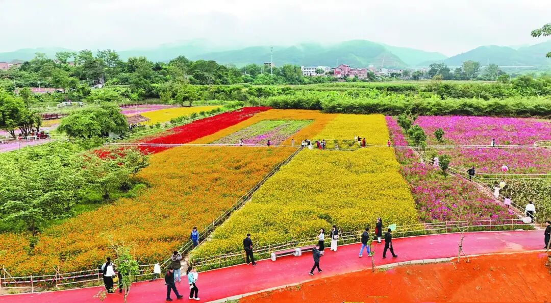 右江日?qǐng)?bào)-2 右江日?qǐng)?bào)-2